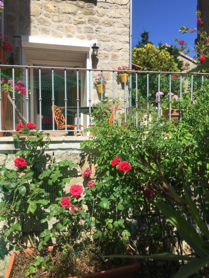 Maison De Vacances - Casa Mezanaccia Avec Terrasse Fleurie Meuble Tourisme 3 Etoiles Santa-Lucia-di-Tallano エクステリア 写真