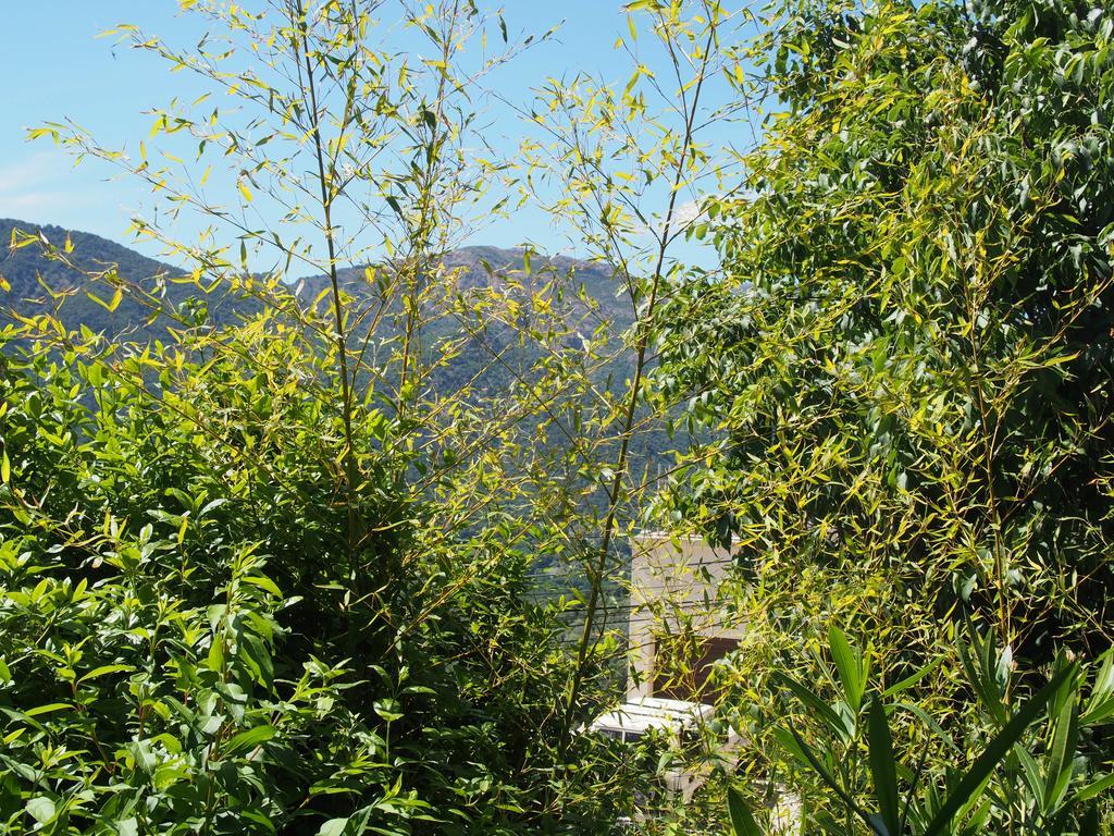 Santa-Lucia-di-TallanoMaison De Vacances - Casa Mezanaccia Avec Terrasse Fleurie Meuble Tourisme 3 Etoilesアパートメント エクステリア 写真