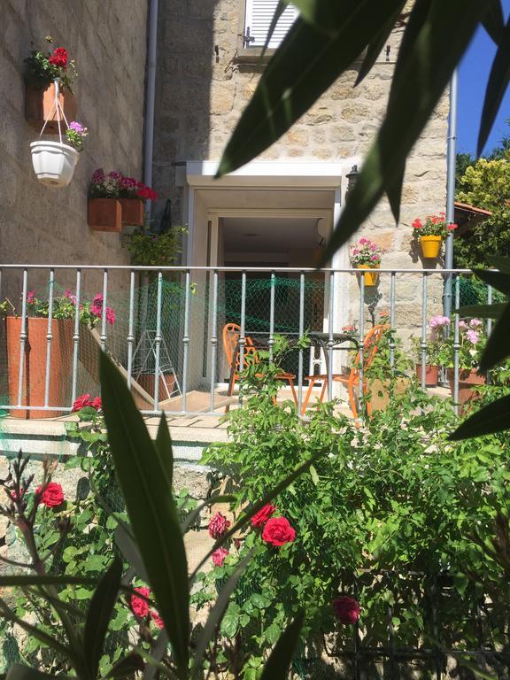 Maison De Vacances - Casa Mezanaccia Avec Terrasse Fleurie Meuble Tourisme 3 Etoiles Santa-Lucia-di-Tallano エクステリア 写真